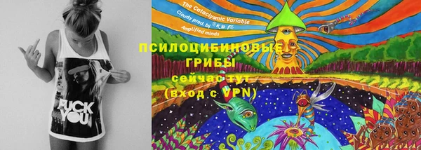 jwh Алзамай