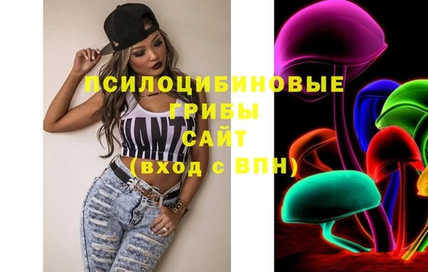 ГАЛЛЮЦИНОГЕННЫЕ ГРИБЫ Алексин